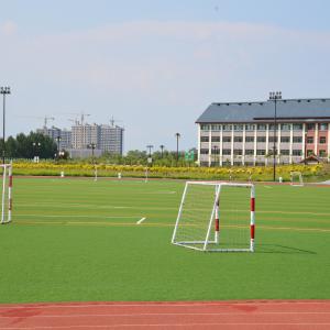 法库中学  15米球场亮化